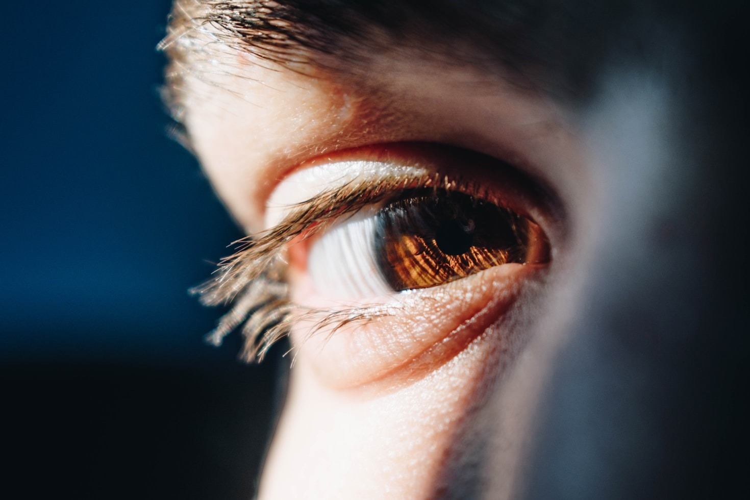 Comparativa de marcas líderes en lentes de contacto